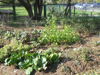 DSCN0498.JPG