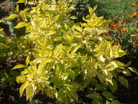 DSCN0499.JPG