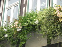 DSCN3261.JPG