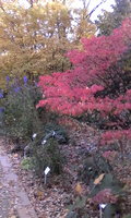 IMG_20181022_113356.jpg