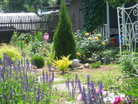 DSCN4607.JPG