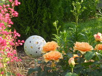 DSCN4613.JPG