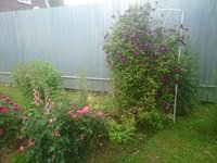 DSC_9290.JPG