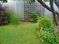 DSC_0308_1.JPG