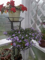 20180929_132210.jpg