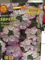 вербена