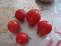 сегодня 20,12,18.jpg