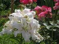 DSCN4799.JPG