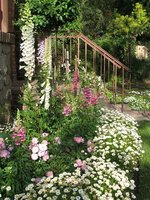 615c3d48e628e205610db0f1354fbc36--spring-flowers-flowers-garden.jpg