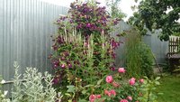 DSC_1151.JPG