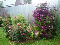DSC_0310_1.JPG
