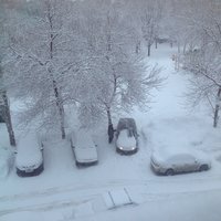 image.jpeg