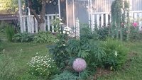 DSC_0566.JPG