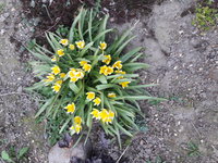 20190425_171242.jpg