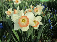 IMG_6719.jpg 1.jpg