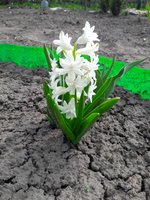 20190426_100334.jpg