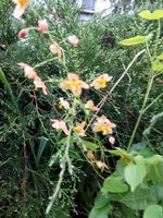 20190510_190205.jpg
