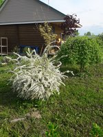 20190512_161706.jpg