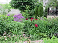 IMG_2167.JPG
