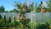 DSC_9429.JPG