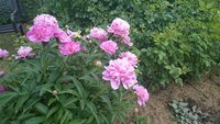 DSC_9402.JPG