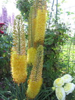 IMG_7330.jpg 1.jpg