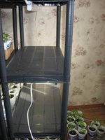 IMG_0806.JPG