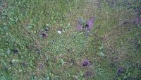 DSC_9596.JPG