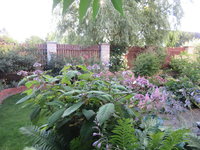 IMG_2704.JPG