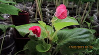 IMG_3319_1.jpg