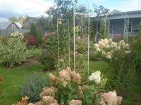 DSC_9778.JPG