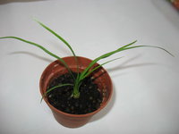 IMG_7792 1.jpg