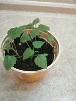 IMG_20200105_162524.jpg