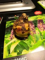 IMG_20200131_221054.jpg