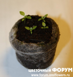 Вот какие мы стали!