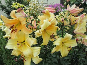 IMG_0047 1.jpg