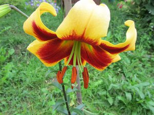 IMG_0128 1.jpg