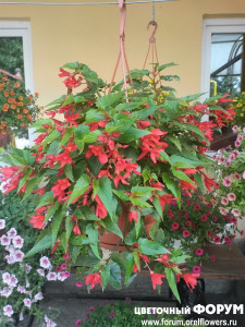IMG_20210725_084822.jpg