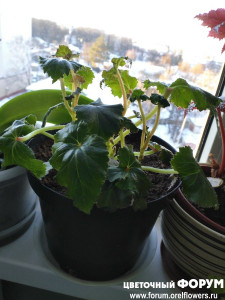 IMG_20220116_155321.jpg