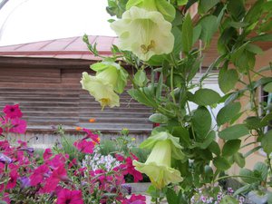 IMG_0213 1.jpg